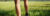 photo of a person hiking in shorts showing legs