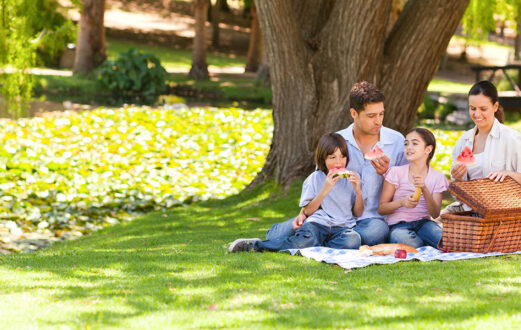 photo of family on picnic